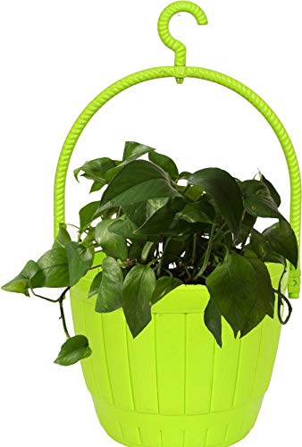 Fence Hanging Basket Planter Set of 3 Pcs Multi Color